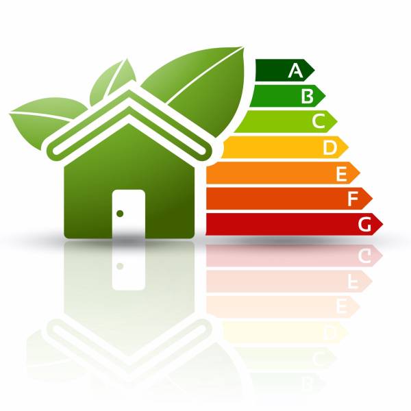 Diagnostic Termites : Protégez votre bien contre les infestations de termites à Manosque et ses environs